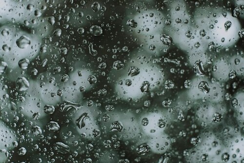 Hoa Roi Cua Phat Nguyen Si Kha • Rainy Day Memories • 2023