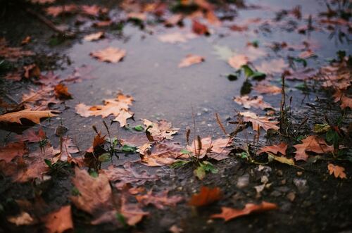 Xa Em Nguyen Si Kha • Rainy Day Memories • 2023