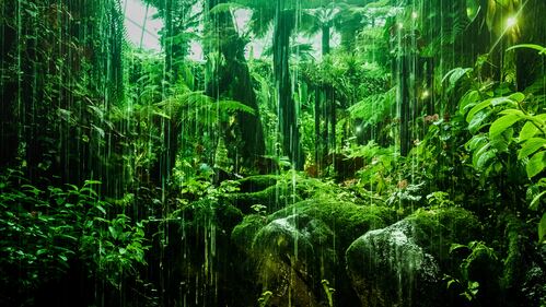 Dau Noi Tam Nguyen Si Kha • Rainy Day Memories • 2023